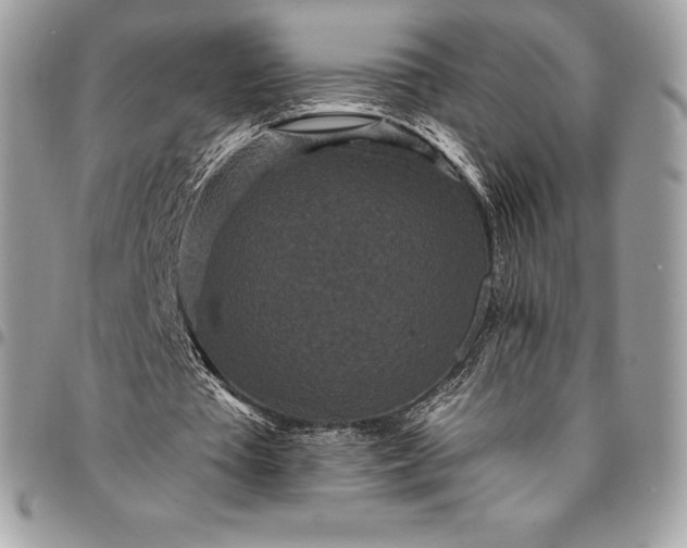 X0000095110385200712211325