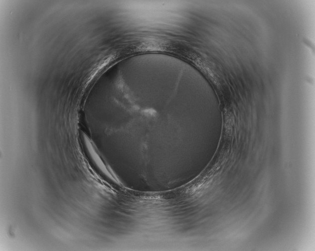 X0000095110386200712211325