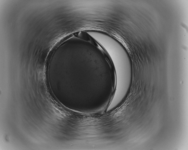 X0000095110387200712211325