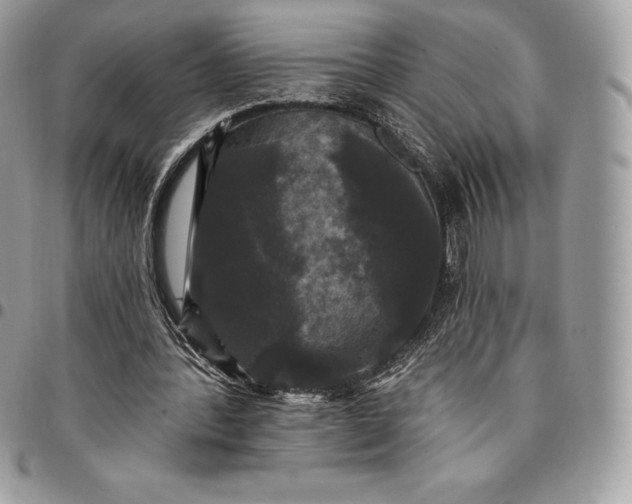 X0000095110388200712211325