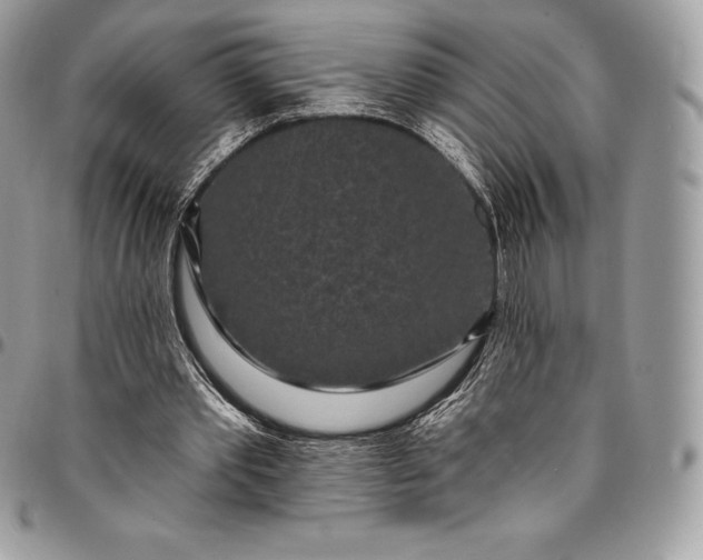 X0000095110389200712211325