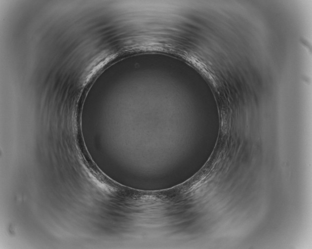 X0000095110390200712211325