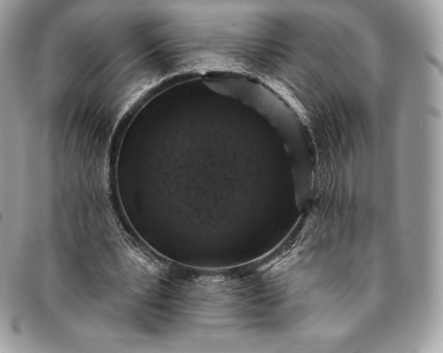 X0000095110391200712211325