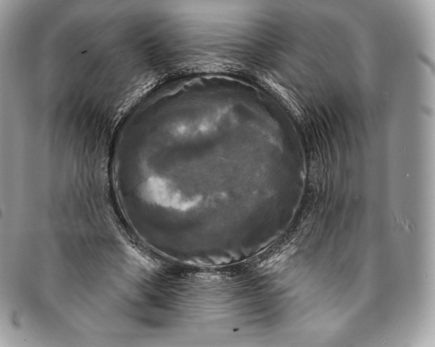 X0000095110394200712211325