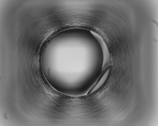 X0000095110395200712211325