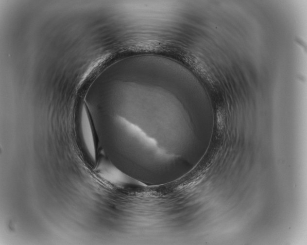 X0000095110396200712211325