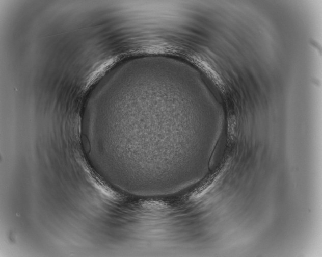 X0000095110397200712211325