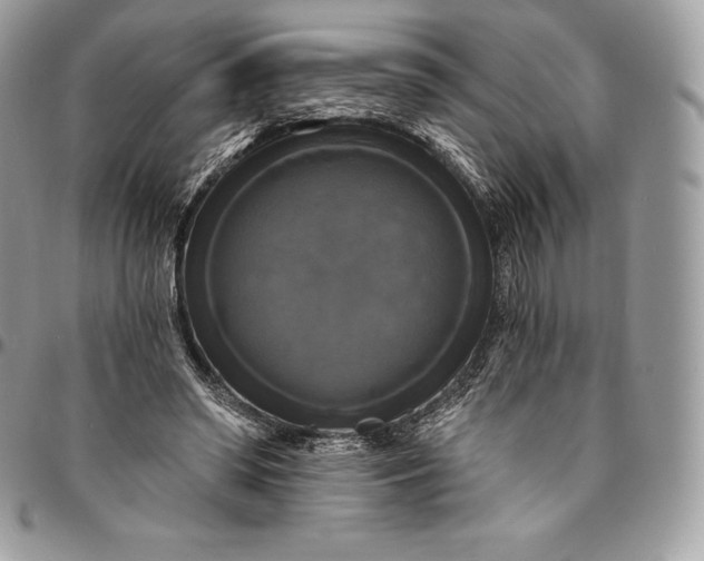 X0000095110398200712211325