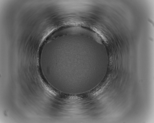 X0000095110399200712211325