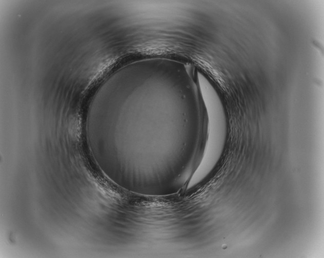 X0000095110400200712211325