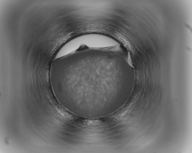 X0000095110401200712211325