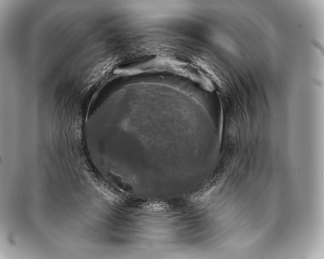 X0000095110402200712211325