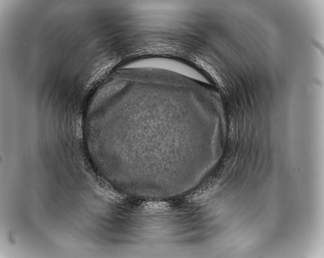 X0000095110403200712211325