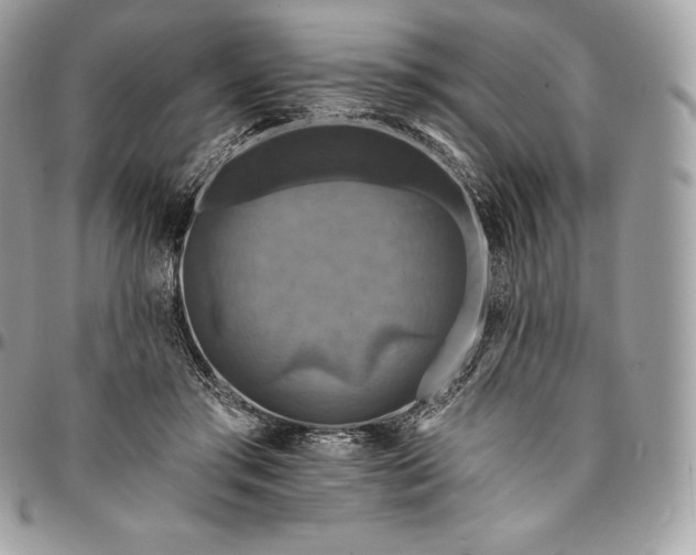 X0000095110405200712211325