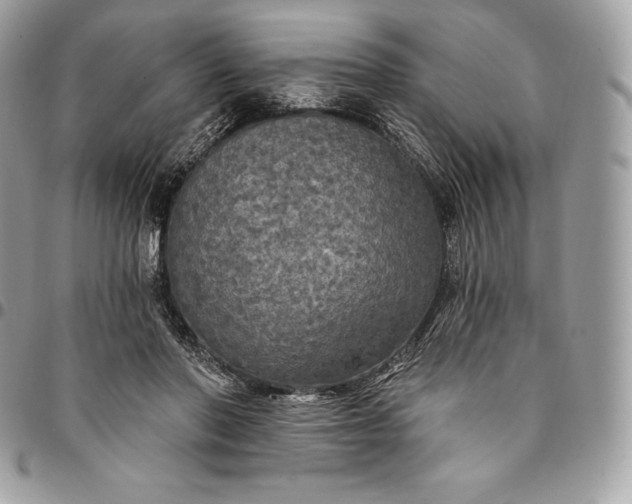 X0000095110406200712211325