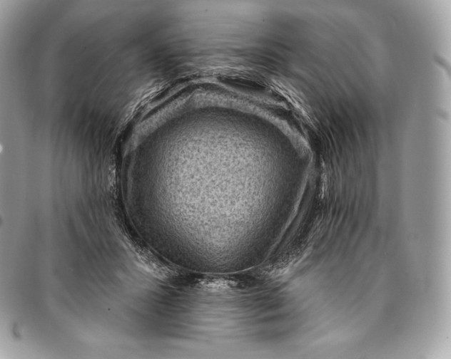 X0000095110407200712211325