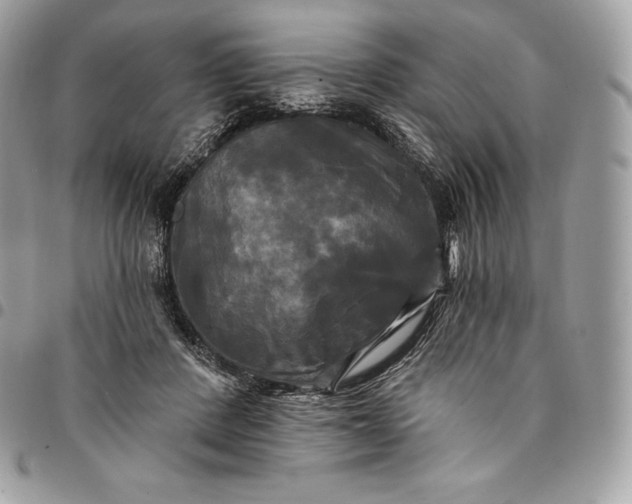 X0000095110408200712211325