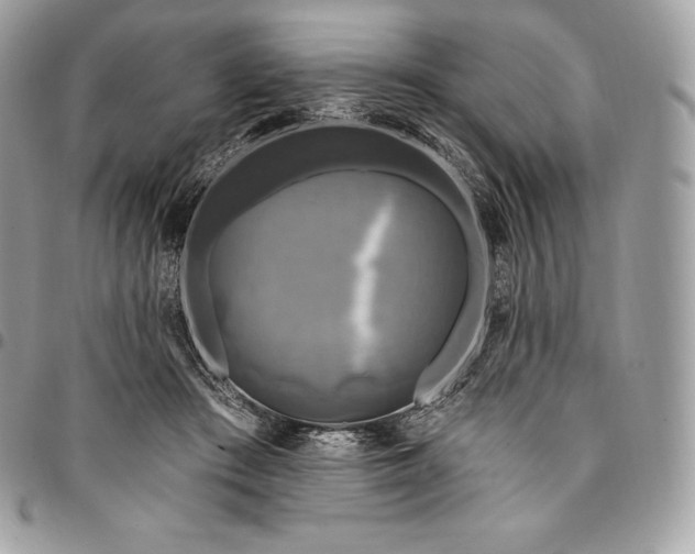 X0000095110409200712211325