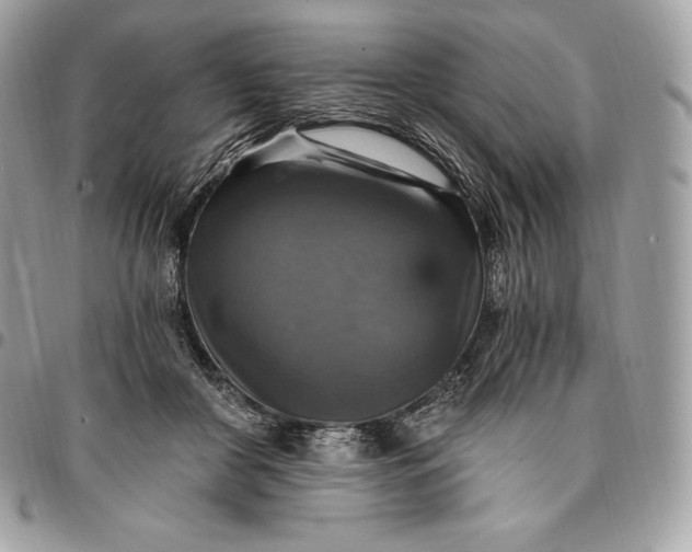 X0000095110410200712211325