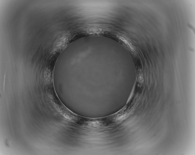 X0000095110411200712211325