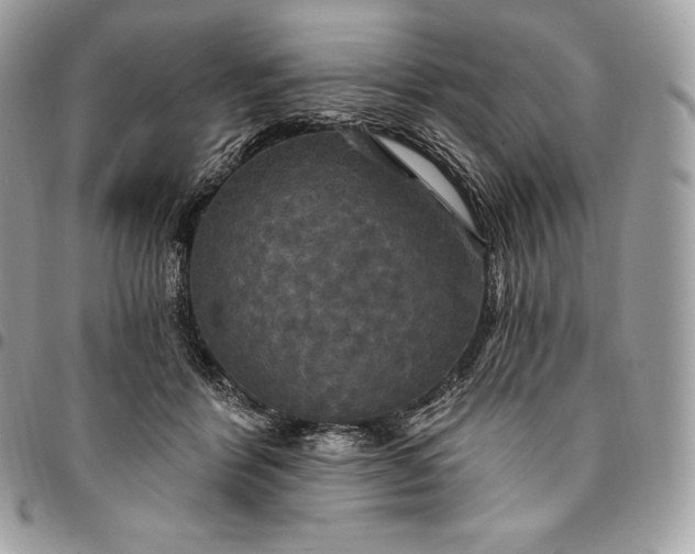 X0000095110412200712211325