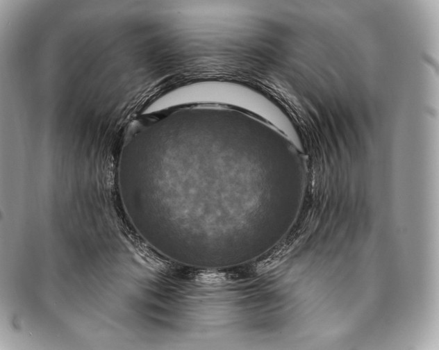 X0000095110413200712211325