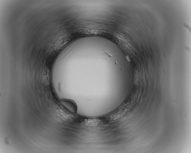 X0000095110414200712211325