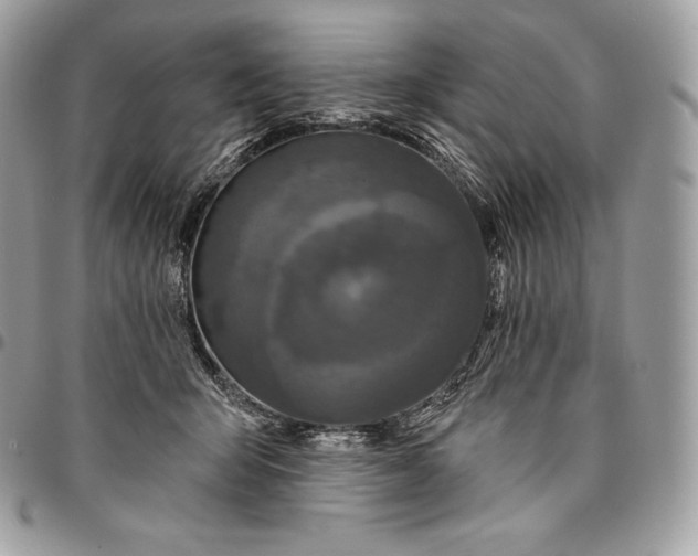 X0000095110415200712211325