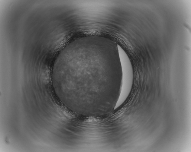 X0000095110416200712211325