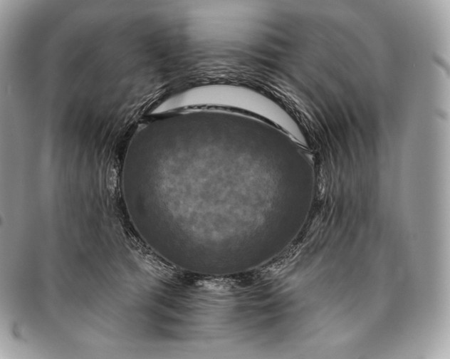 X0000095110417200712211325