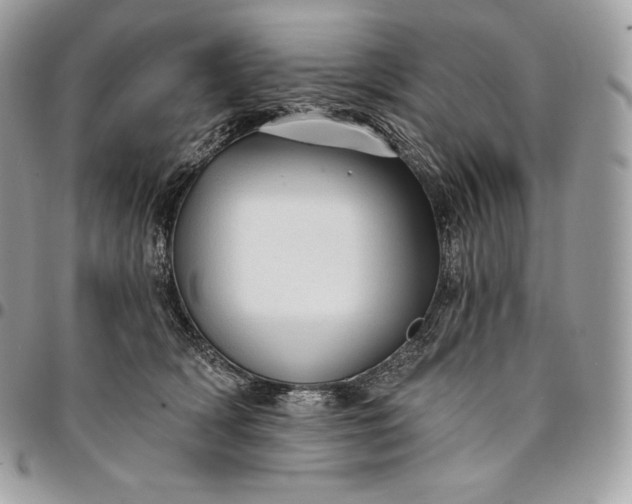 X0000095110418200712211325