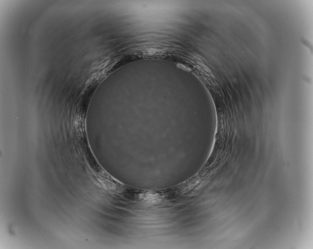 X0000095110419200712211325