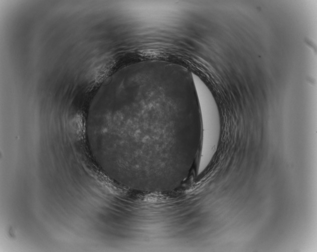 X0000095110420200712211325