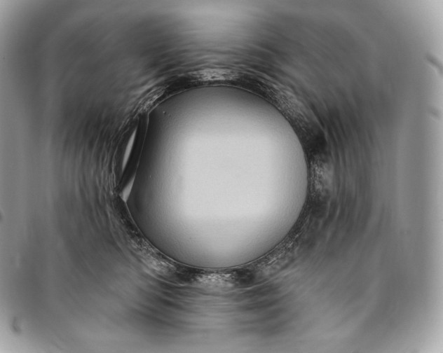 X0000095110422200712211325