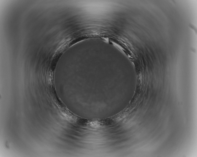 X0000095110423200712211325