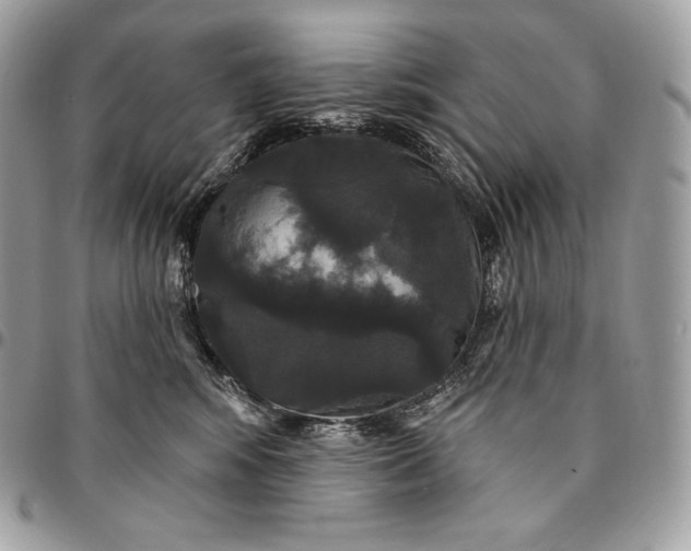 X0000095110424200712211325