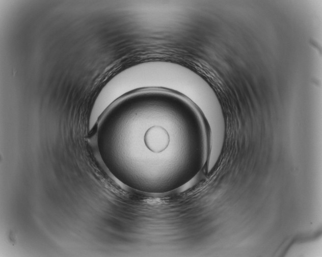 X0000095110425200712211325