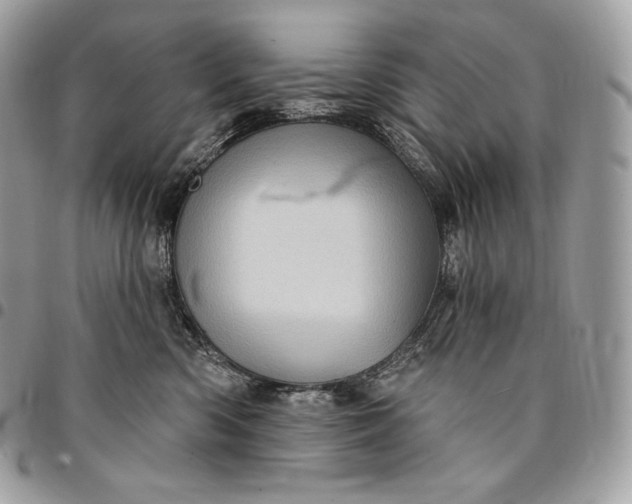 X0000095110426200712211325