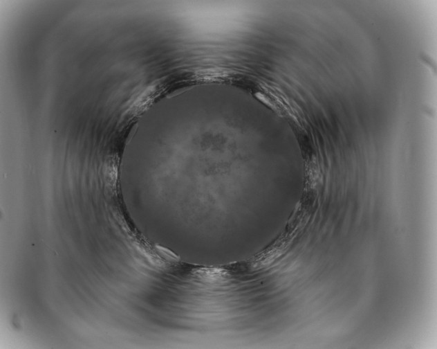 X0000095110427200712211325