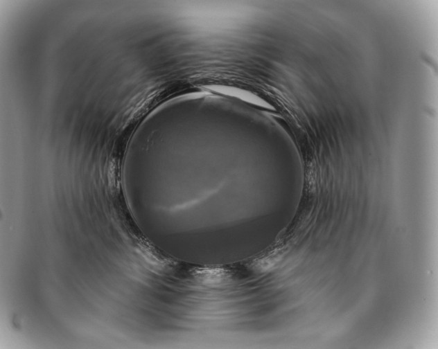 X0000095110428200712211325