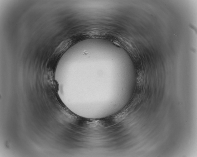 X0000095110430200712211325