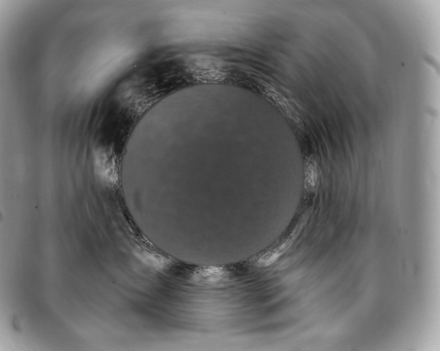 X0000095110431200712211325