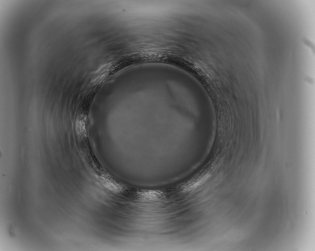 X0000095110432200712211325