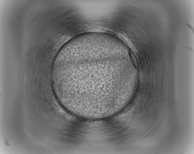 X0000095110433200712211324