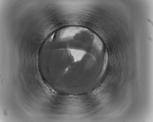 X0000095110434200712211324