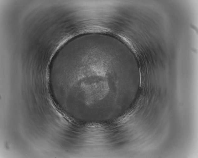 X0000095110435200712211324