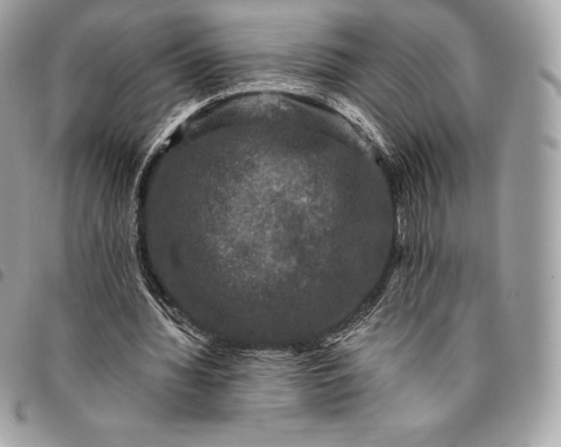 X0000095110436200712211324