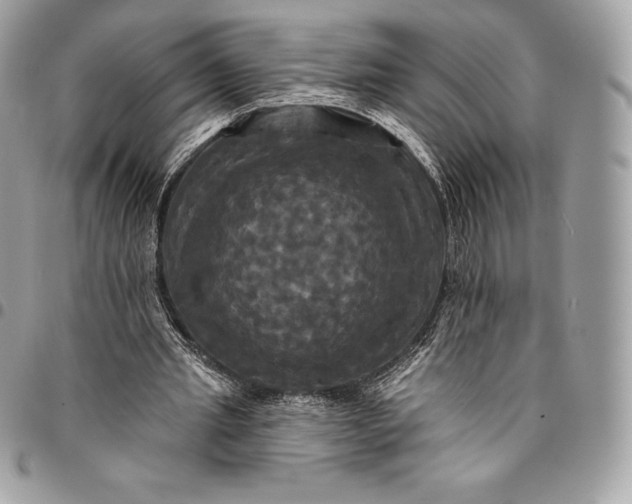 X0000095110437200712211324