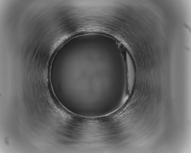 X0000095110438200712211324