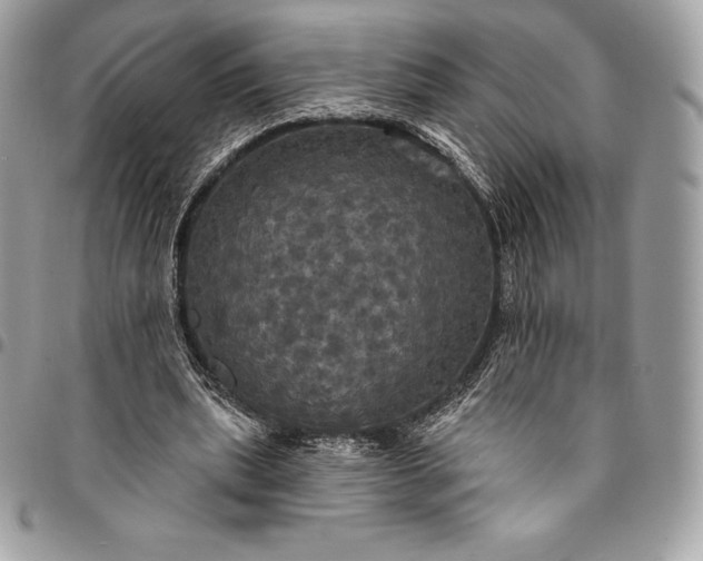 X0000095110439200712211324